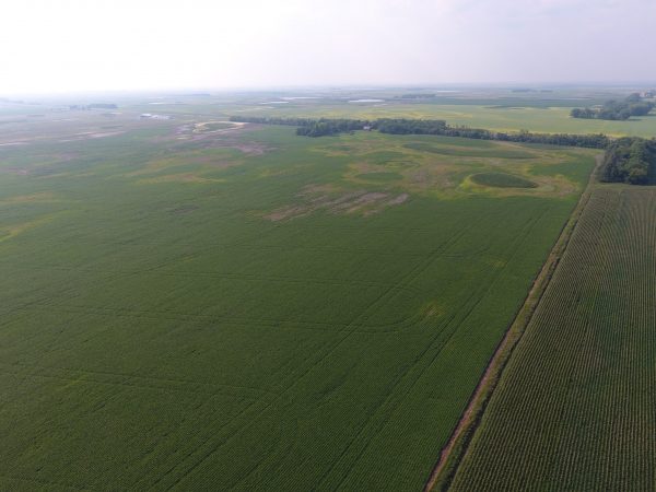 DCIM100MEDIADJI 0017.JPG