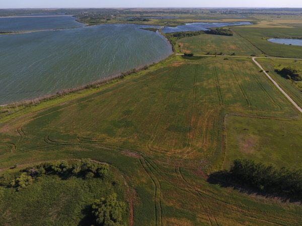 DCIM100MEDIADJI 0017.JPG