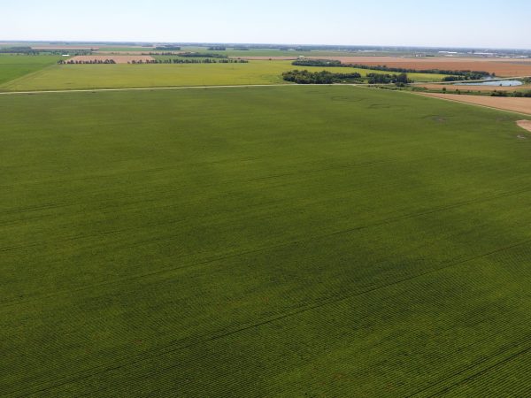 DCIM100MEDIADJI 0017.JPG