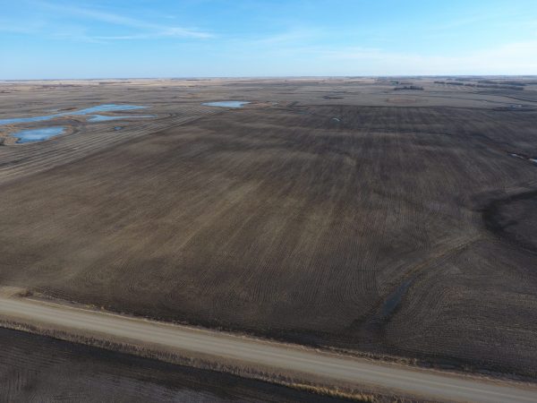 DCIM100MEDIADJI 0017.JPG