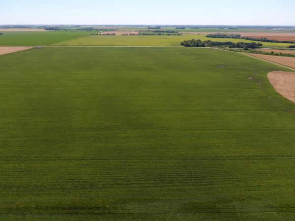 DCIM100MEDIADJI 0018.JPG