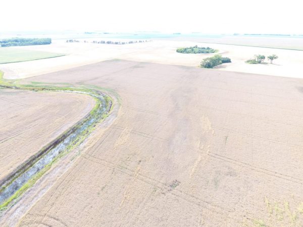 DJI 0019 2 1 1024x768 1