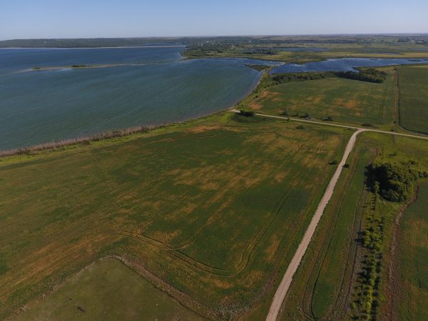 DCIM100MEDIADJI 0020.JPG