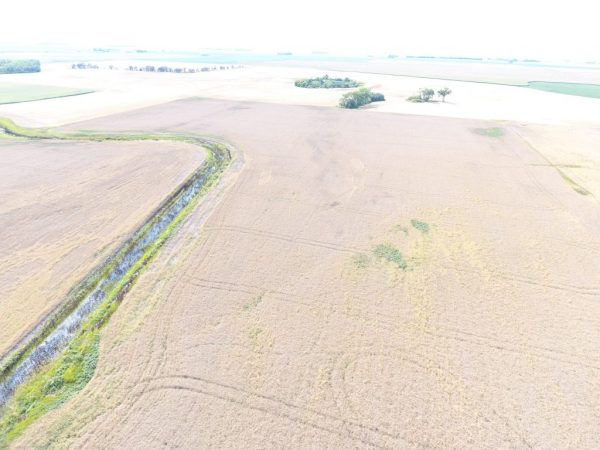 DJI 0020 2 1 1024x768 1