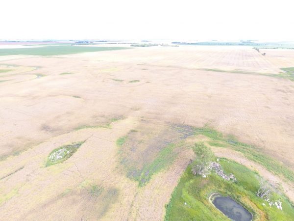 DJI 0021 3 1024x768 1