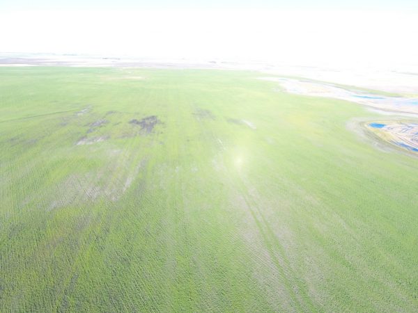 DJI 0022 1 1024x768 1