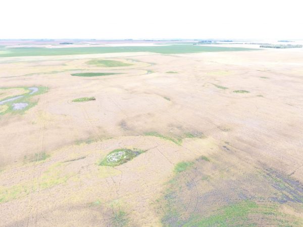 DJI 0022 3 1024x768 1