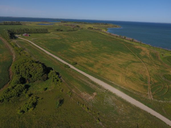 DCIM100MEDIADJI 0023.JPG