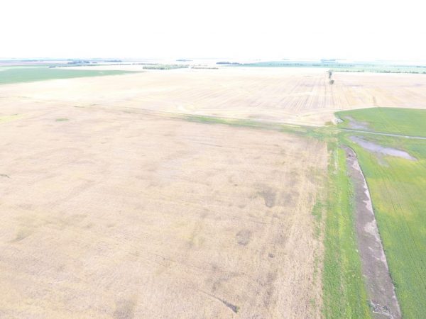 DJI 0023 3 1024x768 1