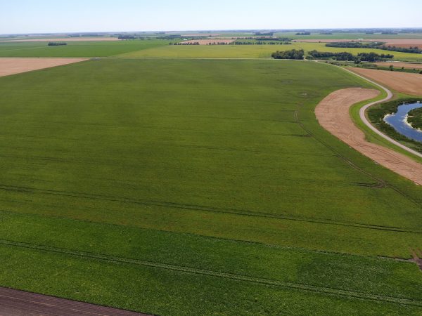 DCIM100MEDIADJI 0024.JPG