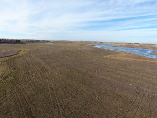 DJI 0024