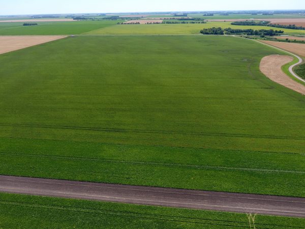 DCIM100MEDIADJI 0025.JPG