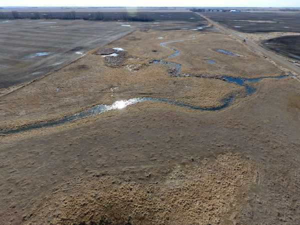 DCIM100MEDIADJI 0025.JPG