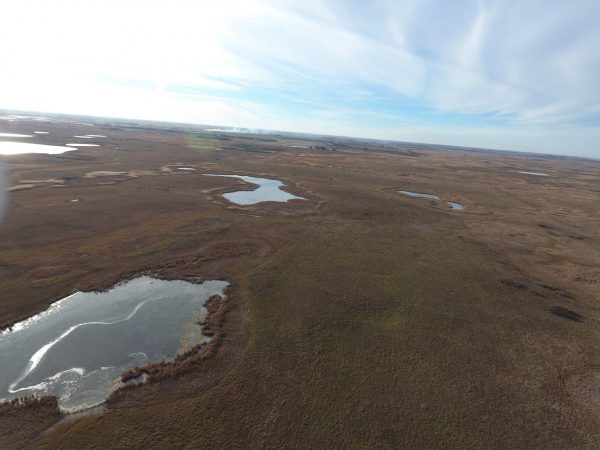 DJI 0026