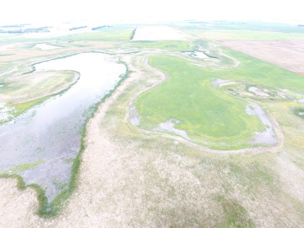 DJI 0027 3 1024x768 1