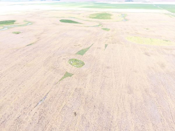 DJI 0029 2 1024x768 1