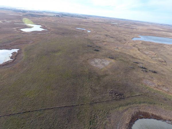 DJI 0029