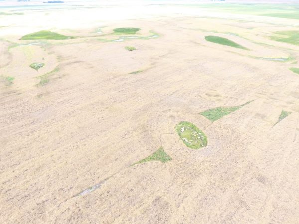 DJI 0030 2 1024x768 1