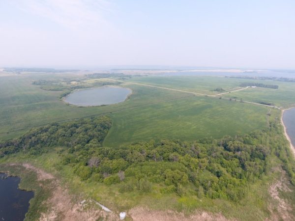DJI 0031