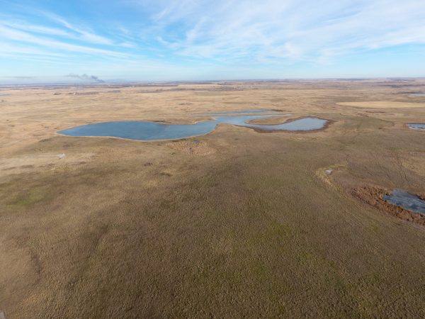 DJI 0031