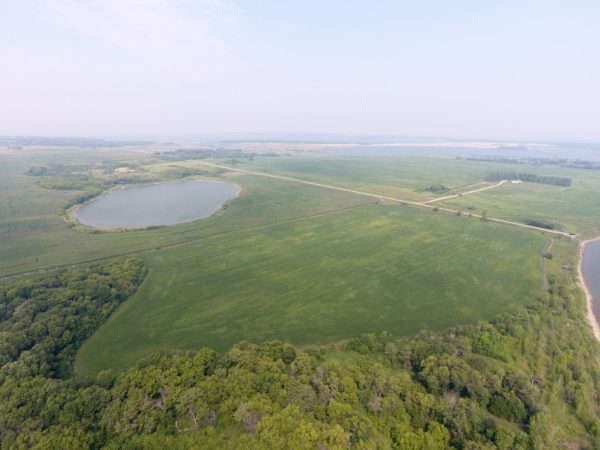 DJI 0032