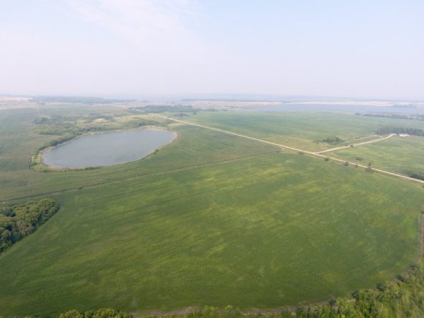 DJI 0033