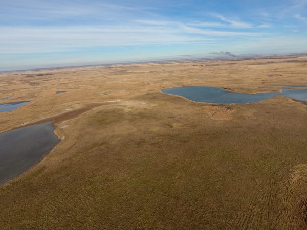 DJI 0033