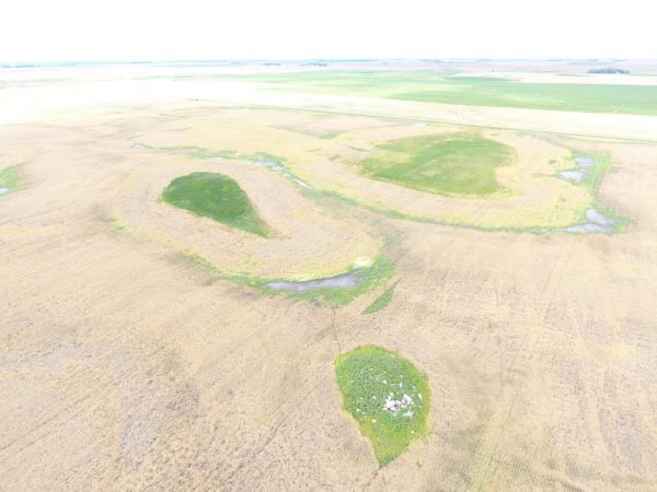 DJI 0035 1 1024x768 1