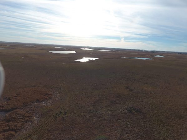 DJI 0035
