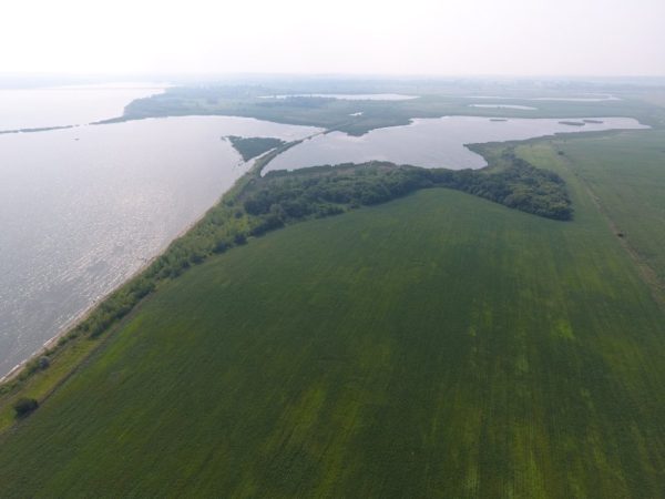 DJI 0036