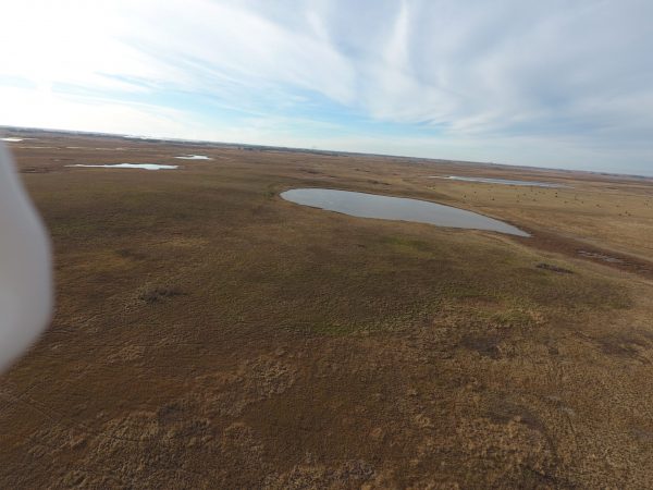 DJI 0036