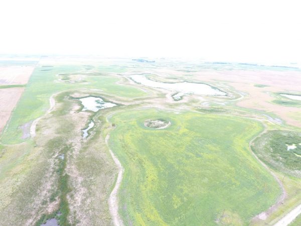 DJI 0037 4 1024x768 1