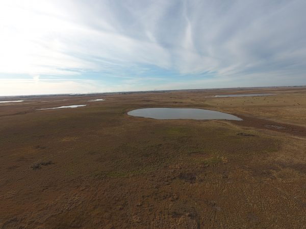 DJI 0037
