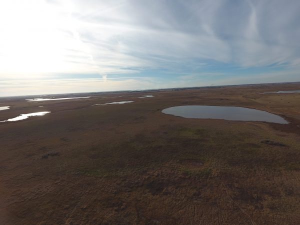 DJI 0038