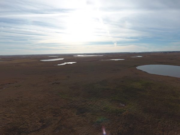 DJI 0039