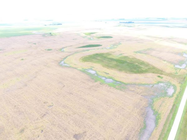 DJI 0040 2 1024x768 1