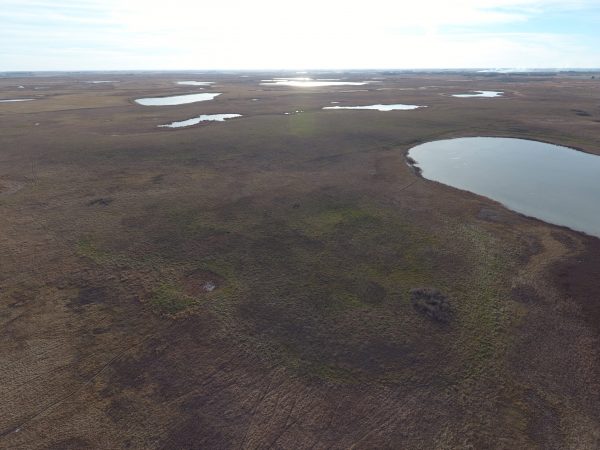 DJI 0040