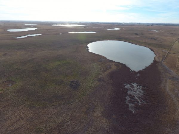 DJI 0041