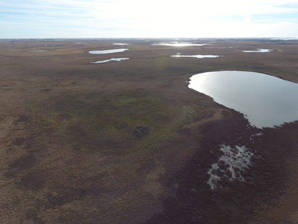 DJI 0042