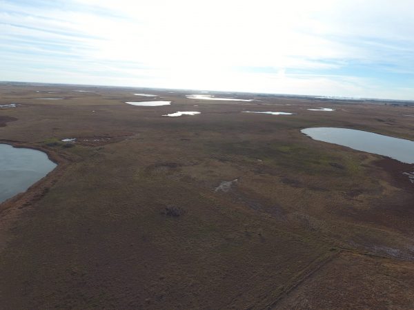 DJI 0044