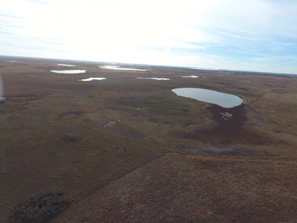 DJI 0045
