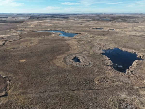 DJI 20251123140627 0004 D