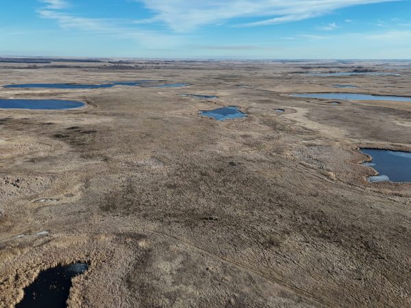 DJI 20251123141030 0012 D