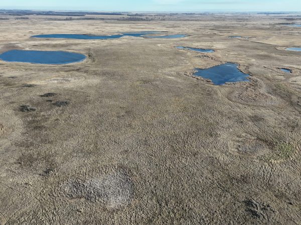 DJI 20251123141050 0014 D