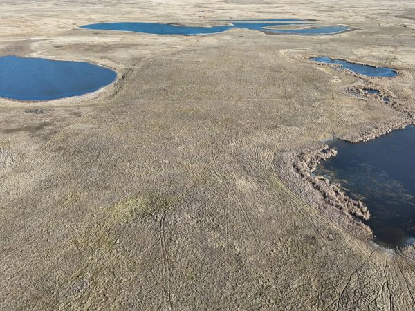 DJI 20251123141115 0017 D