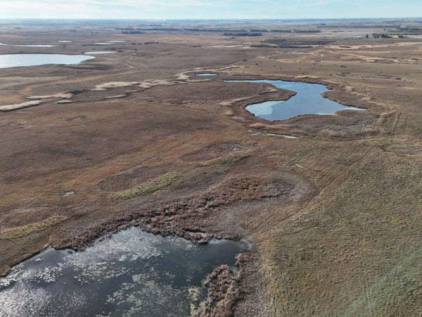 DJI 20251123141147 0021 D