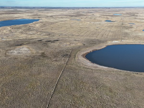 DJI 20251123141204 0024 D