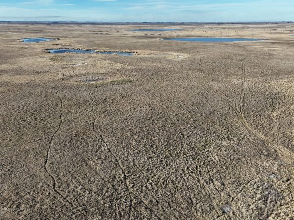 DJI 20251123141311 0028 D