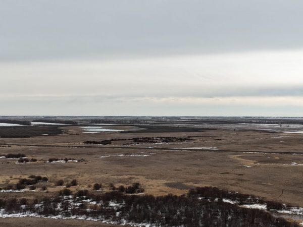 DJI 20260324173050 0010 D