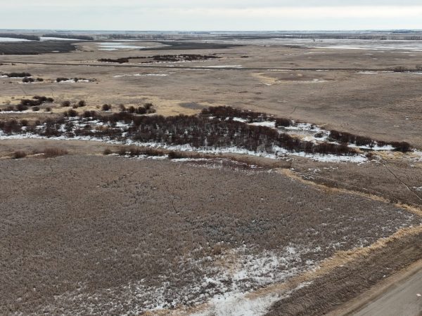 DJI 20260324173110 0011 D